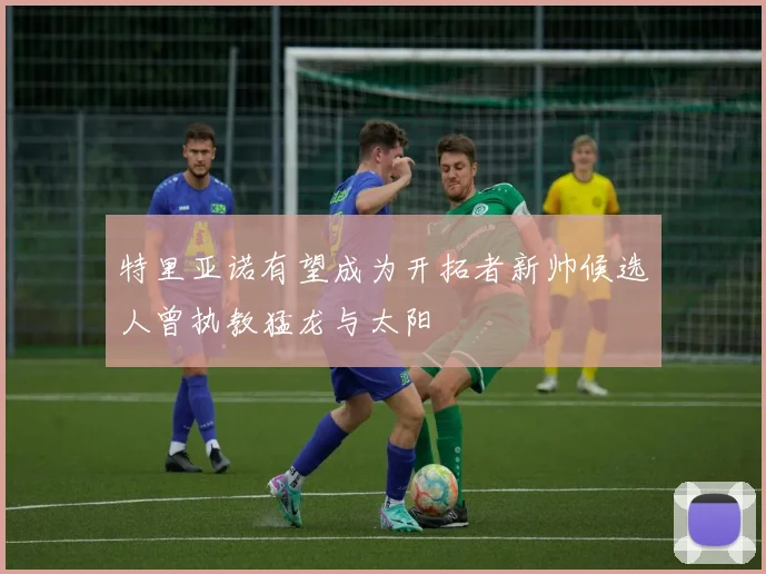 特里亚诺有望成为开拓者新帅候选人曾执教猛龙与太阳
